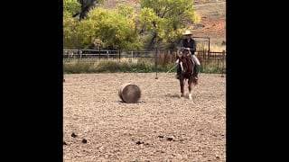 Time N Winz - Video 7