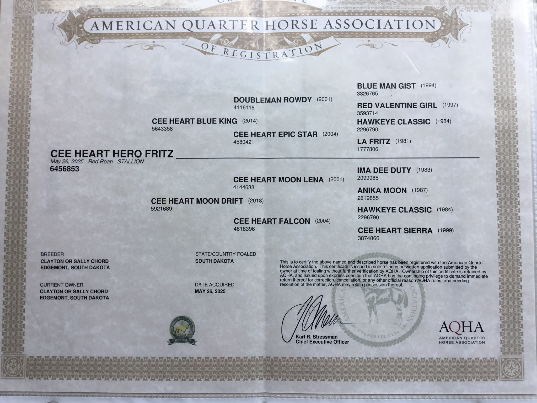 Cee Heart Hero Fritz - Image 5