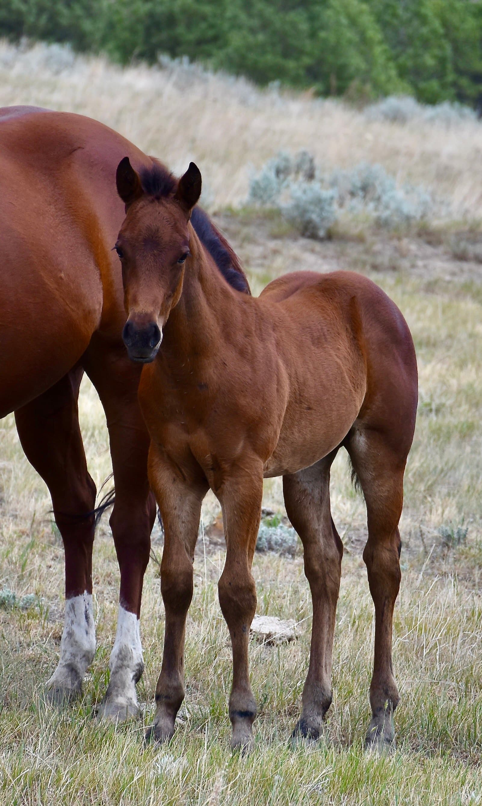 Cee Heart Marion Bar - Image 5