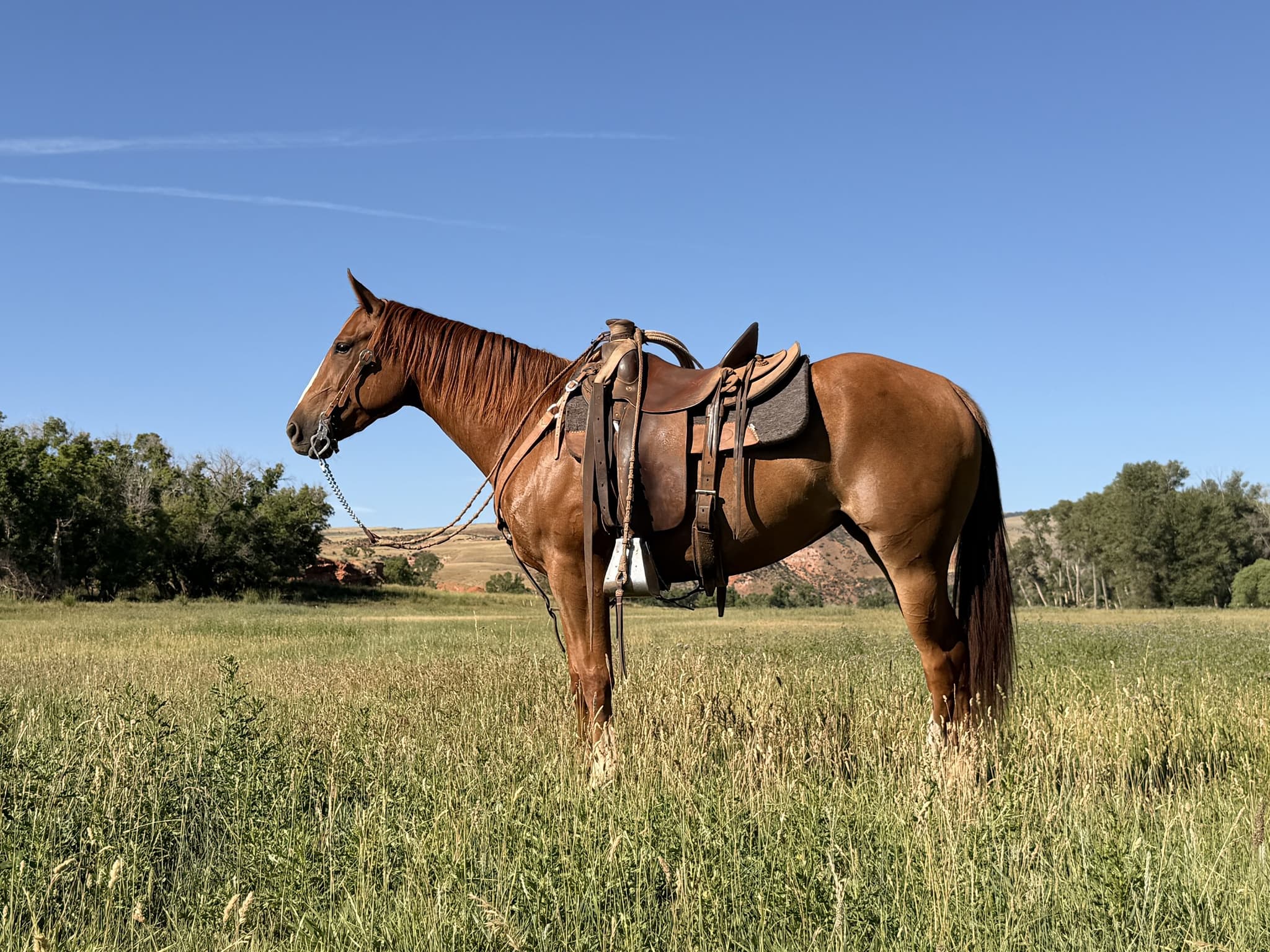 Time N Winz - Image 1