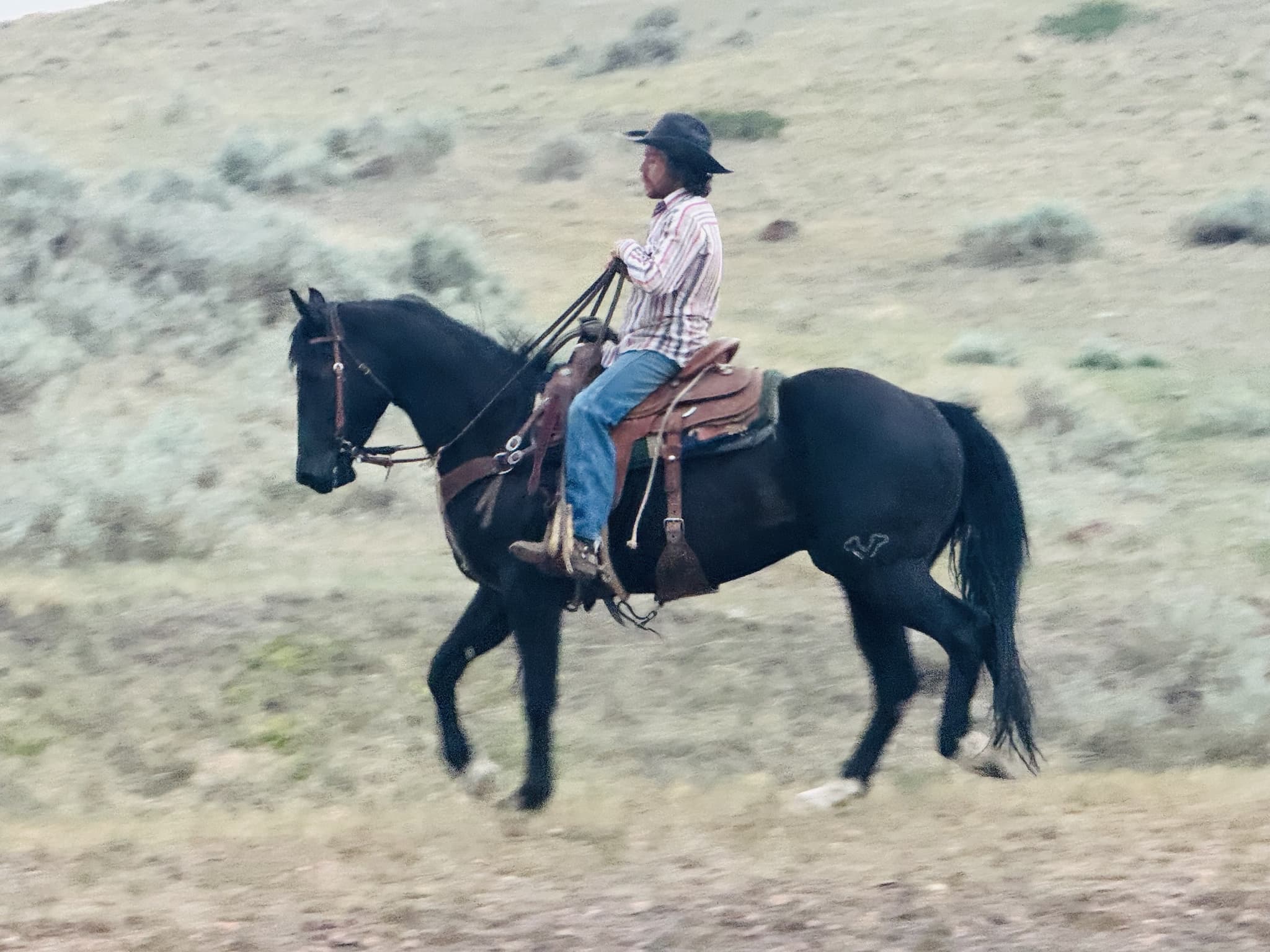 Whip Hancock Gambler - Image 1